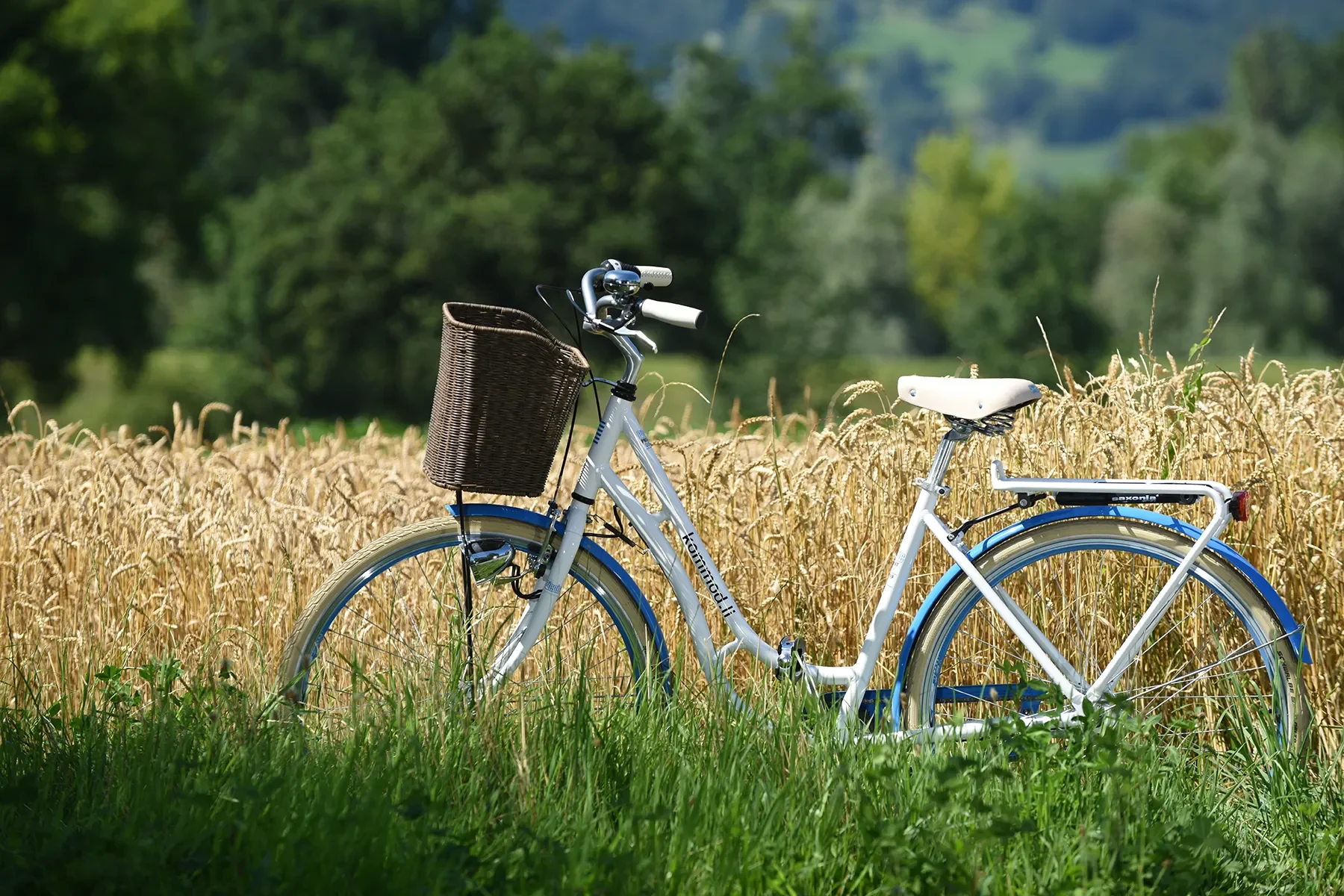 Mit dem kommod -Leih-Fahrrad im Ruggeller Riet, Liechtenstein