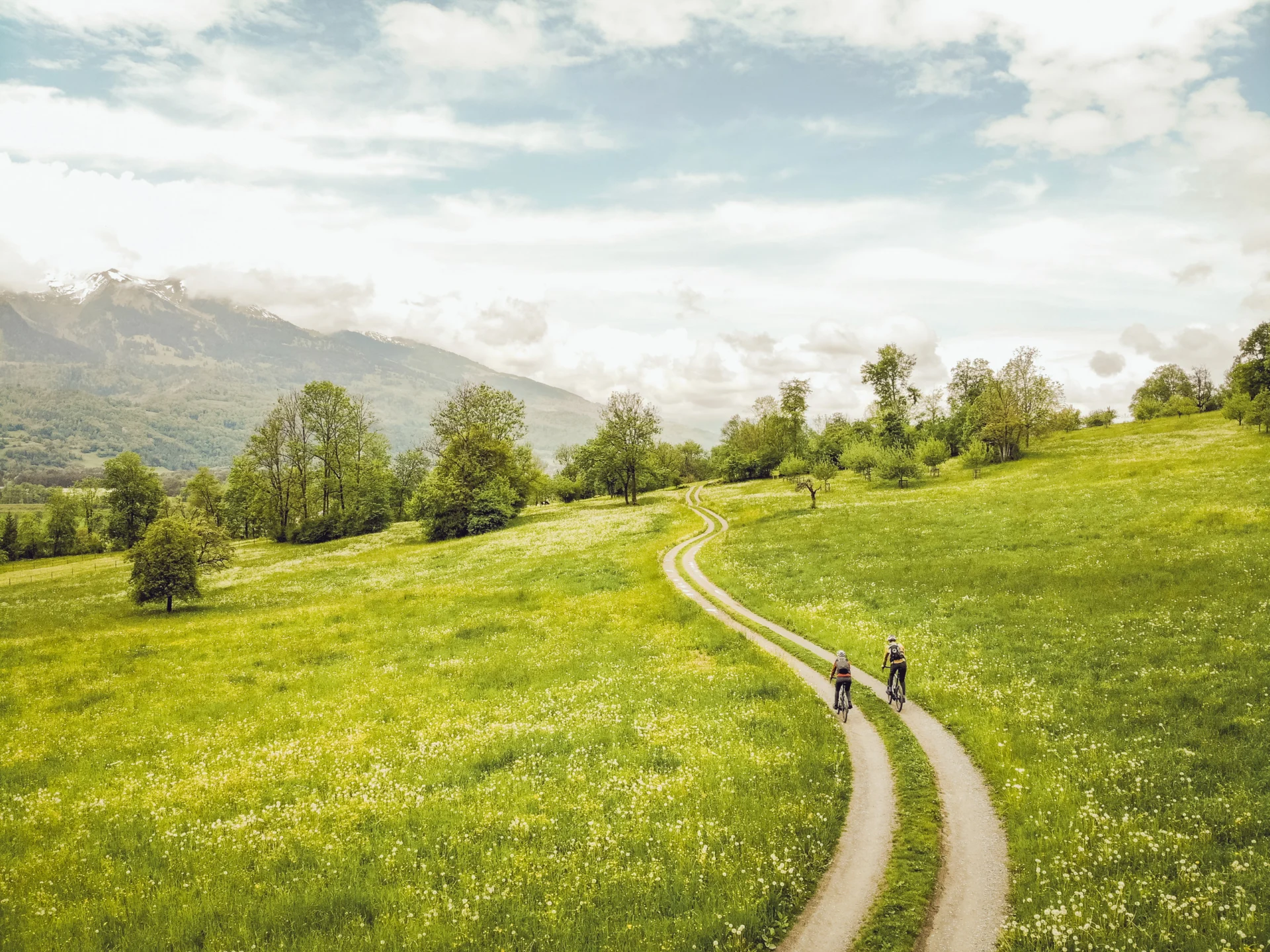Radweg inmitten einer Wiese mit tollem Ausblick auf die umliegenden Berge - © Miriam Mayer